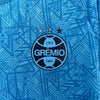 Grêmio Treino 24/25