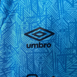 Grêmio Treino 24/25