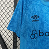 Grêmio Treino 24/25