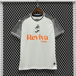 Swansea 2023/24 Local