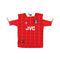 Arsenal Principal 94/95