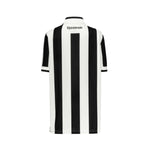 Botafogo Principal 24/25