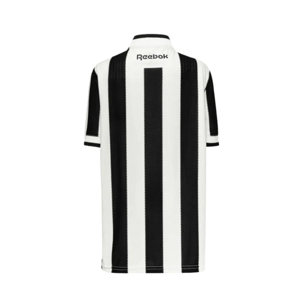 Botafogo Principal 24/25