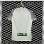 Swansea 2023/24 Local