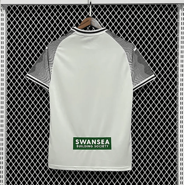 Swansea 2023/24 Local