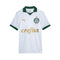 Palmeiras Alternativa 24/25