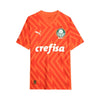 Palmeiras Guarda-Redes 24/25