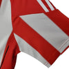 Bayern Munique Principal 10/11
