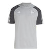 Camiseta de entrenamiento Atlético Mineiro 24/25 - Gris