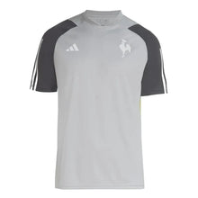 Camiseta de entrenamiento Atlético Mineiro 24/25 - Gris
