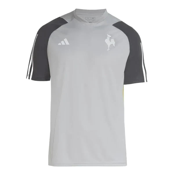 Camiseta de entrenamiento Atlético Mineiro 24/25 - Gris