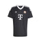 Bayern Munique Guarda-Redes 24/25