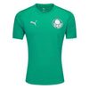 Camiseta de entrenamiento del Palmeiras 25/26 - Verde