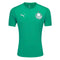 Camiseta de entrenamiento del Palmeiras 25/26 - Verde