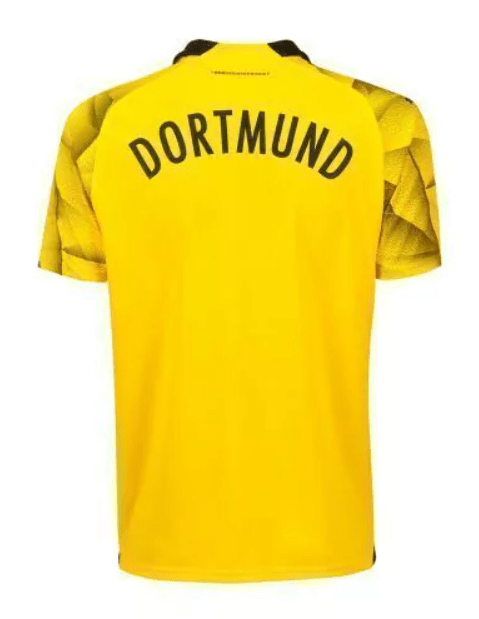 Borussia Dortmund 23/24