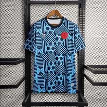 Camiseta de entrenamiento de Dinamarca