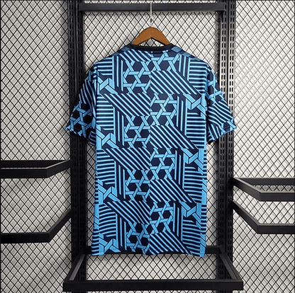 Camiseta de entrenamiento de Dinamarca