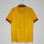Alternativa del Arsenal 93/94