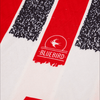 Cardiff 1993/94 Alternativa