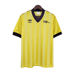 Alternativa Arsenal 83/84