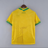 Brasil 2022