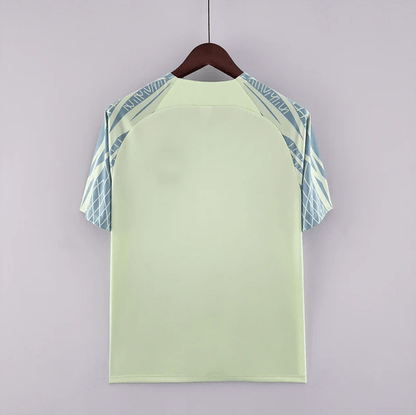 Camiseta de entrenamiento de Brasil verde claro 2022