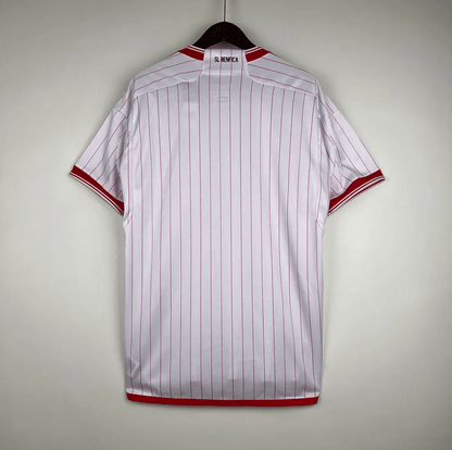 Camiseta especial del Benfica 23/24