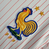 Alternativa Francia 2024