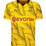 Borussia Dortmund 23/24