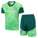 Conjunto de entrenamiento Palmeiras 24/25 - Verde