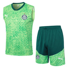Conjunto de camiseta de entrenamiento Palmeiras 24/25 - Verde
