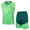 Conjunto de camiseta de entrenamiento Palmeiras 24/25 - Verde