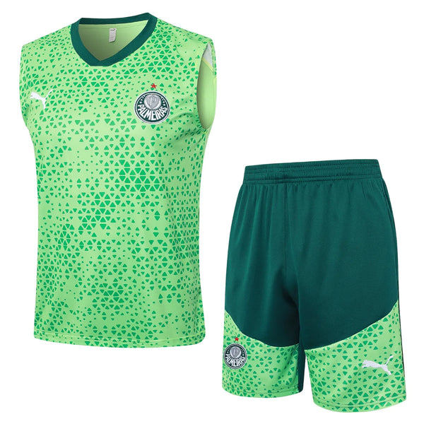 Conjunto de camiseta de entrenamiento Palmeiras 24/25 - Verde