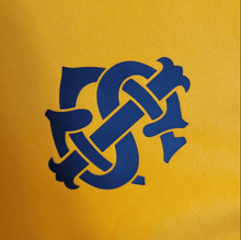 Camiseta de entrenamiento del Internacional 2023/24