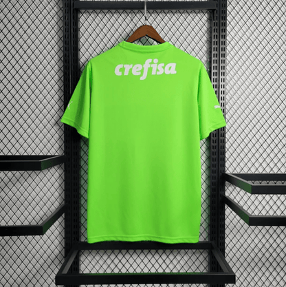 Camiseta del Palmeiras 2023