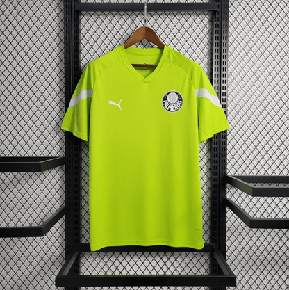 Camiseta de entrenamiento verde césped del Palmeiras 2023