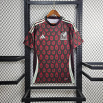 Local México 2024/25
