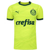 Camiseta de la tercera equipación del Palmeiras 23/24 - Verde