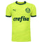 Camiseta de la tercera equipación del Palmeiras 23/24 - Verde