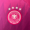 Alternativa Alemania 2024