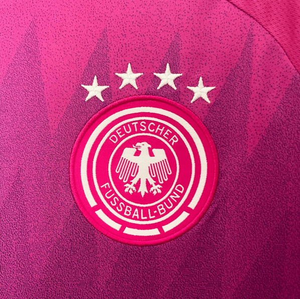 Alternativa Alemania 2024