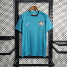 Camiseta Entrenamiento Palmeiras 2023