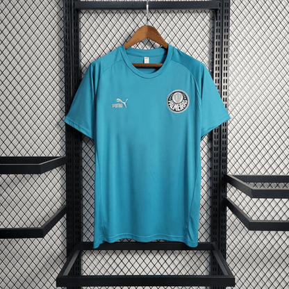 Camiseta Entrenamiento Palmeiras 2023