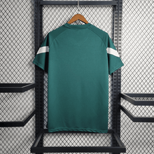 Camiseta de entrenamiento Palmeiras Verde 2023